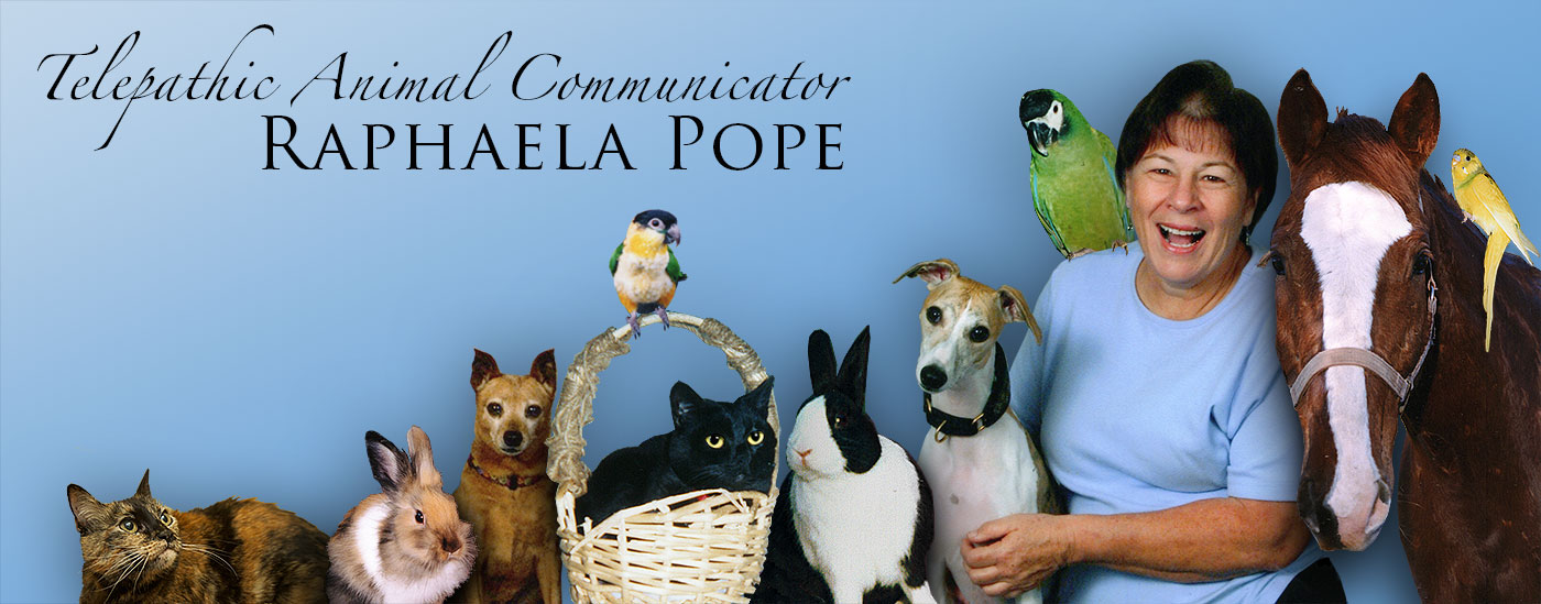 Telepathic Animal Commiunicator, Raphaela Pope